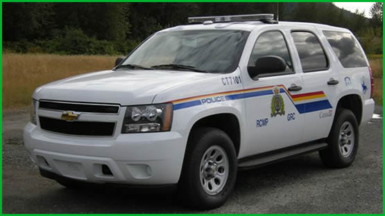 Police and Emergency Vehicle Graphics